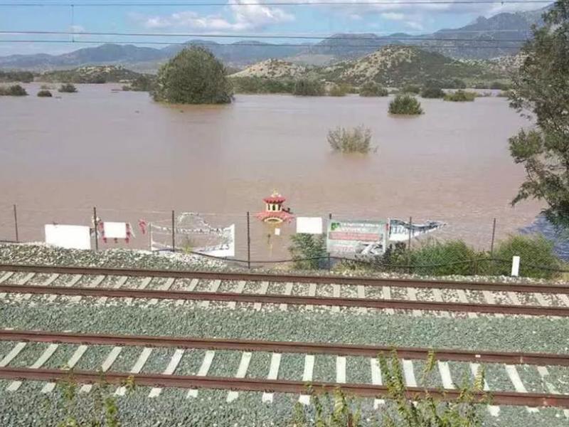 ντανιελ
