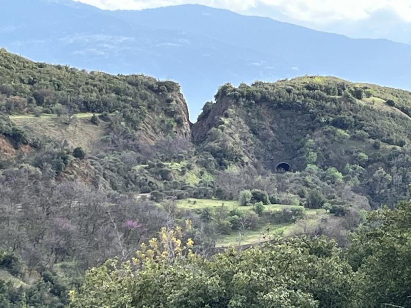 καρυες