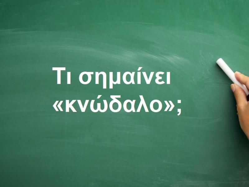 Κνώδαλο