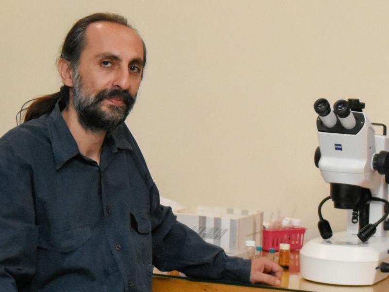 διακριση