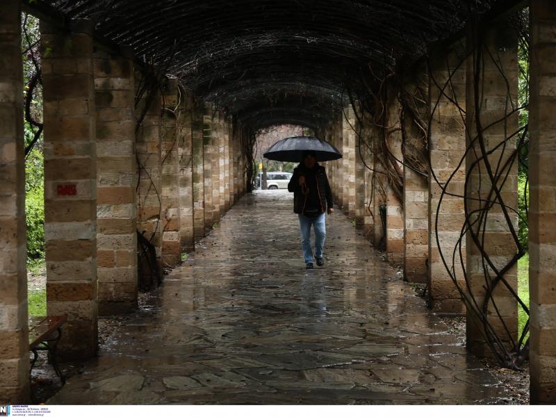 Γιατί μυρίζει τόσο έντονα η βροχή; Τι είναι το άρωμα της πρώτης σταγόνας;