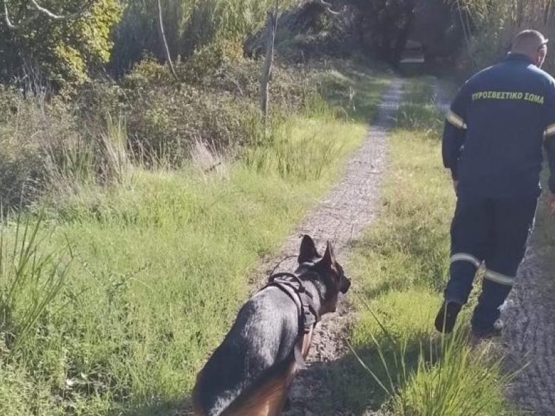 εξαφανιση