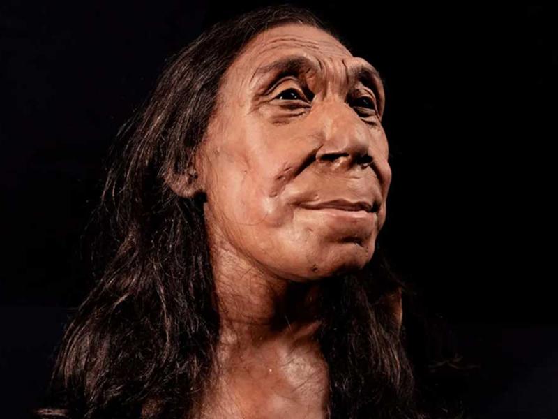 Neanderthal-Woman