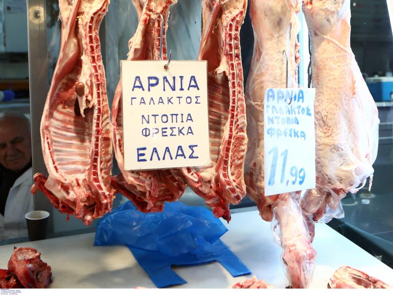 αρνί