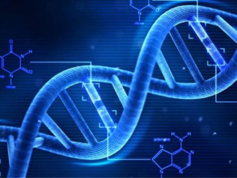 Στις 15 Μαΐου θα διεξαχθει ο 4ος Πανελλήνιος Διαγωνισμός Βιολογίας Γυμνασίου 2025