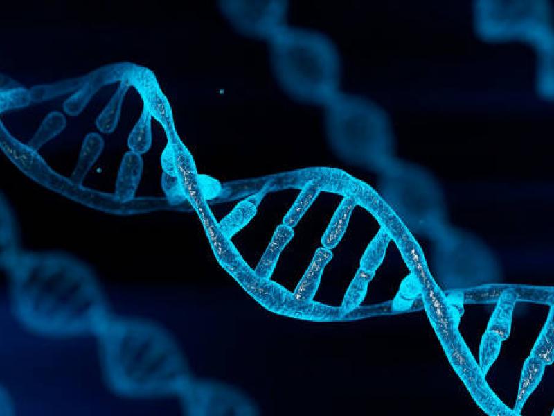 Πώς η γενετική διαμορφώνει τη ζωή και την κοινωνία μας;