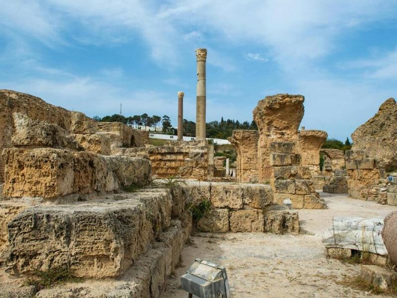 Φοίνικες: Νέα γενετική μελέτη αποκαλύπτει ελληνικό DNA στις ρίζες τους