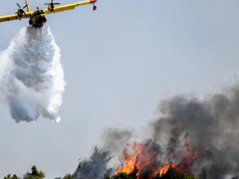 Γλυκή Θεσπρωτίας: Μεγάλη φωτιά τώρα κοντά σε οικισμό – Νέο πύρινο μέτωπο μετά το Γαρδίκι