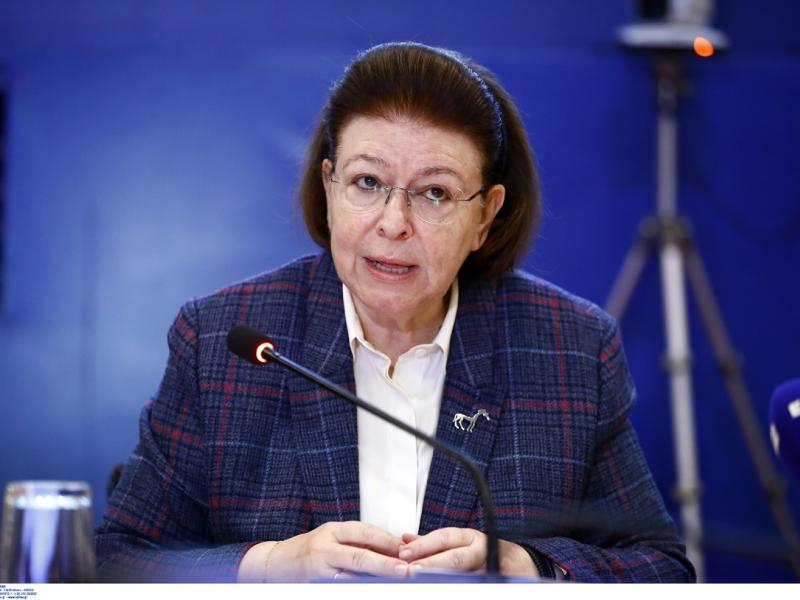 Μενδώνη: «Προσβλητικό το βίντεο για την Πέλλα – Δεν ανταποκρίνεται στην πραγματικότητα»