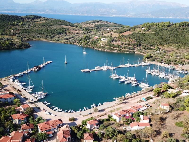 trizonia