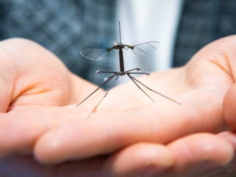Η Κίνα παρουσιάζει drone-κουνούπι: Μικροσκοπική τεχνολογία για αποστολές επιτήρησης
