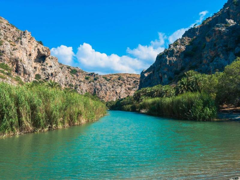 Μια παραλία-θησαυρός της Κρήτης με φοινικόδασος και ποτάμι