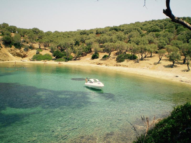trikeri