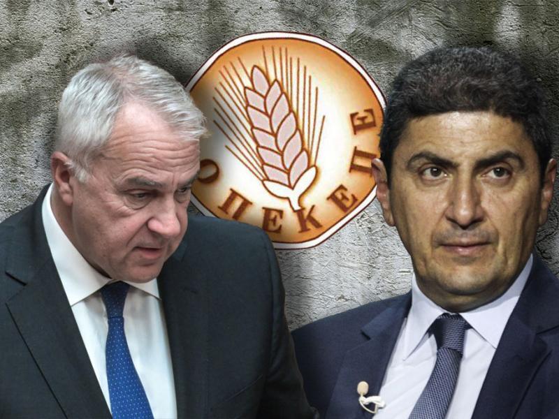 βοριδης
