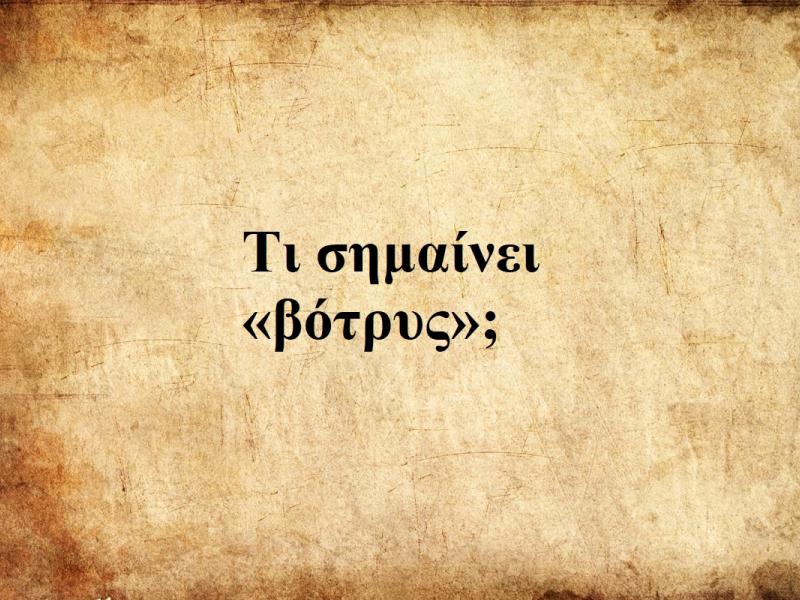 Βότρυς