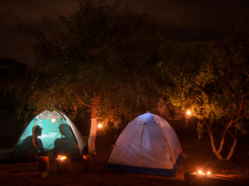 kamping