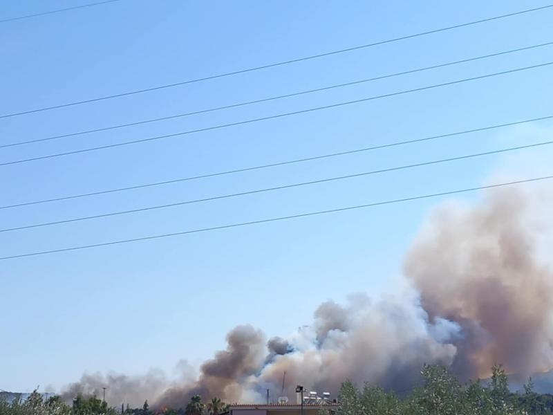Φωτιά τώρα στην Παιανία κοντά στην Αττική Οδό - Μήνυμα 112 για ετοιμότητα - Ισχυρές δυνάμεις της Πυροσβεστικής στο σημείο