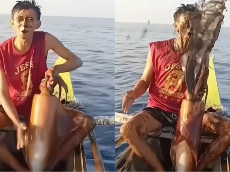Το γιγαντιαίο καλαμάρι που... αντεπιτέθηκε με μελάνι και έγινε viral (Video)