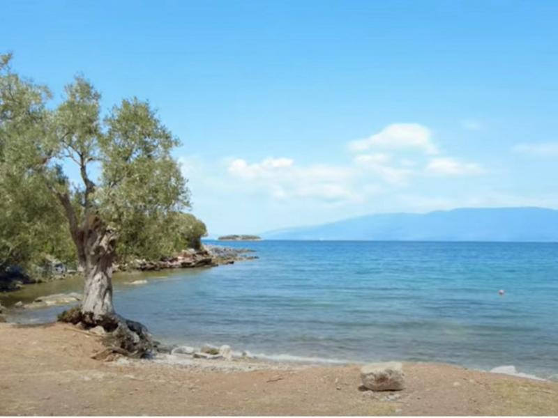 Πήλιο: Άγριος καβγάς σε παραλία μεταξύ δύο γυμνιστών και οικογενειάρχη – Συνελήφθησαν και οι τρεις