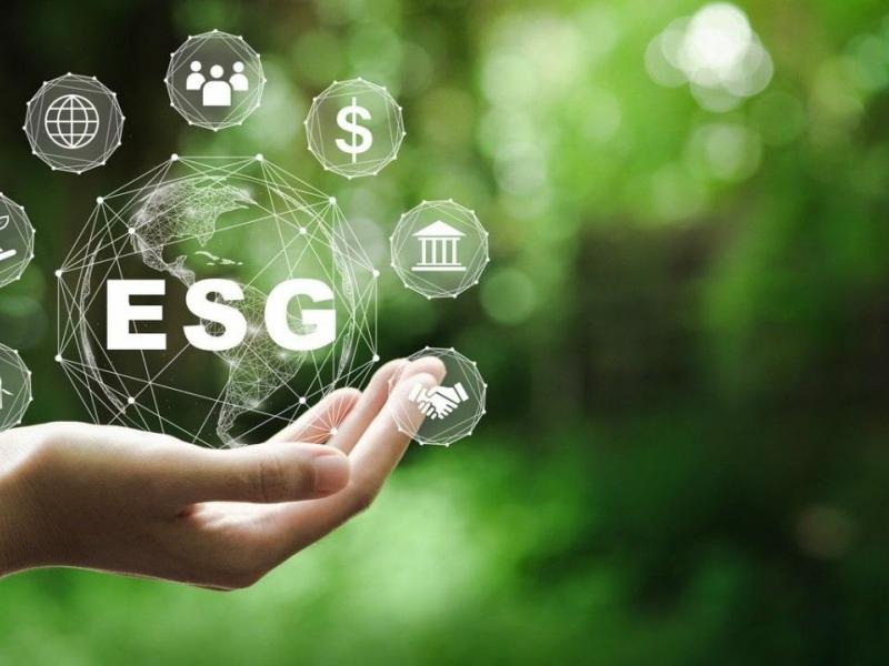 Το 1o Πανεπιστημιακό Πιστοποιητικό ESG αναγνωρισμένο από το Υπ.Παιδείας