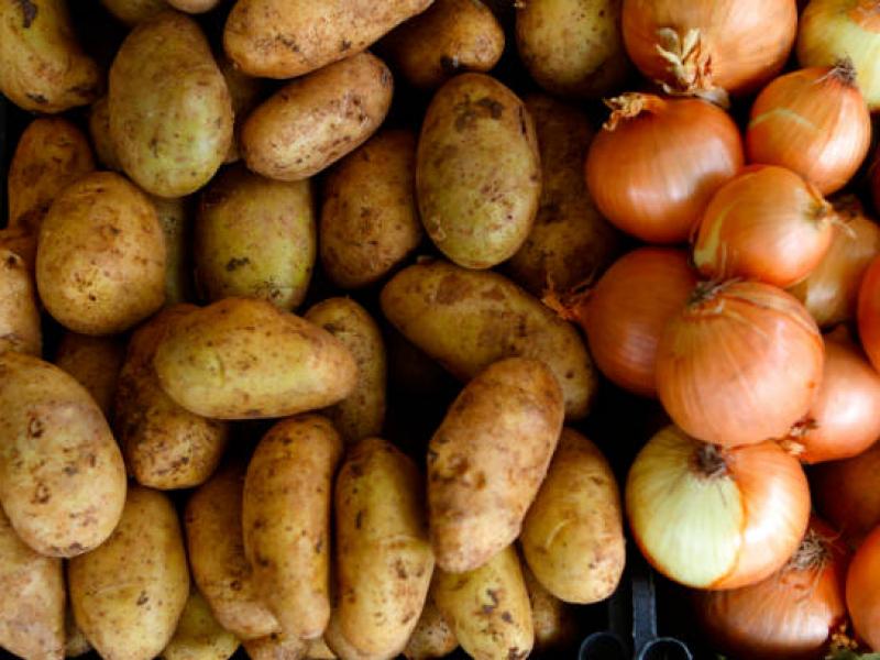 patates