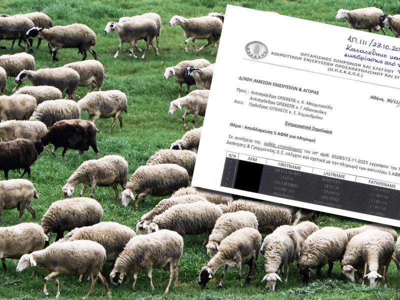 Έγγραφο για το σκάνδαλο του ΟΠΕΚΕΠΕ στο βάθος κοπάδι με πρόβατα