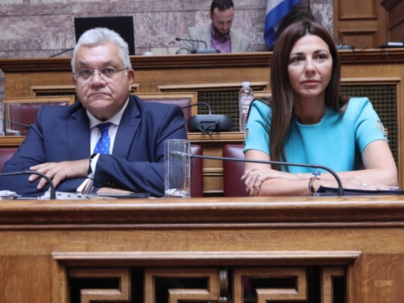 Σοφία Ζαχαράκη, Νίκος Παπαϊωάννου 