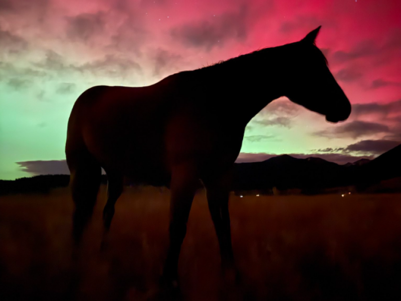 γεωμαγνητική καταιγίδα