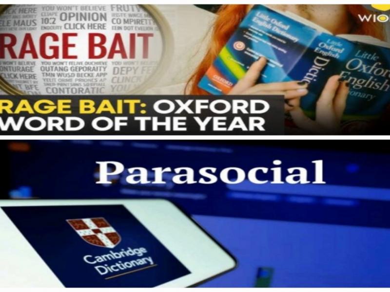 Οι λέξεις της χρονιάς (2025): “Parasocial” και “Rage Bait”