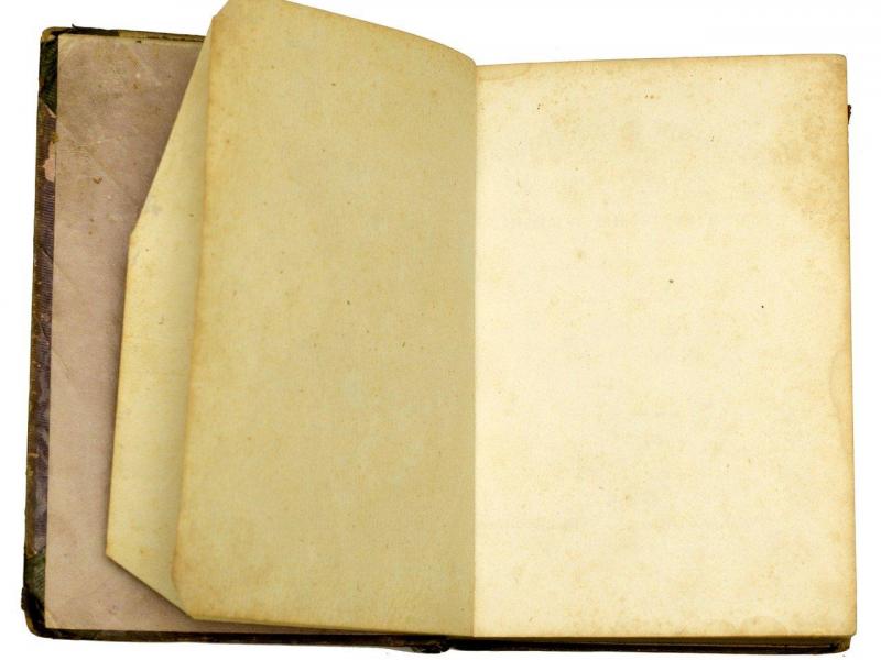 «Γκίνια»: Ποια είναι η σωστή ελληνική λέξη;