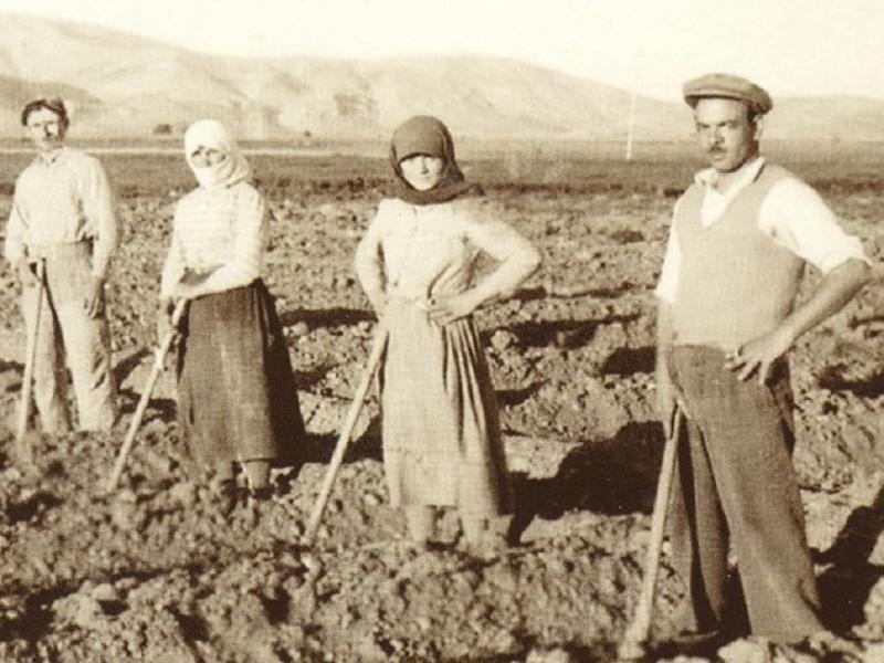 Ιστορία της αγροτιάς