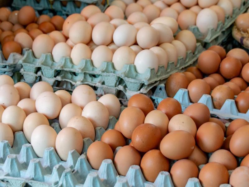 Αυγά: Τι πρέπει να ξέρεις πριν τα αγοράσεις και τα καταναλώσεις