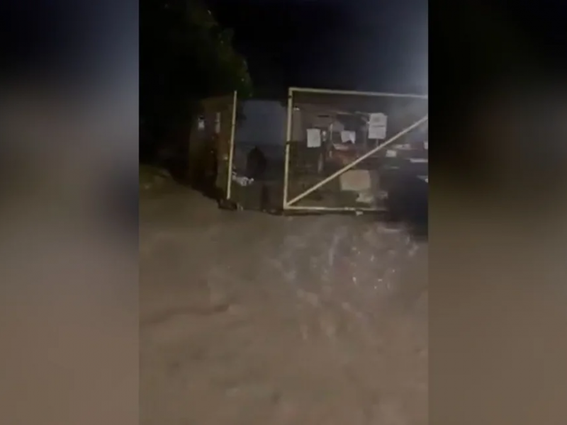 Καταφύγιο σκύλων στη Νίκαια καταστράφηκε από την κακοκαιρία Byron