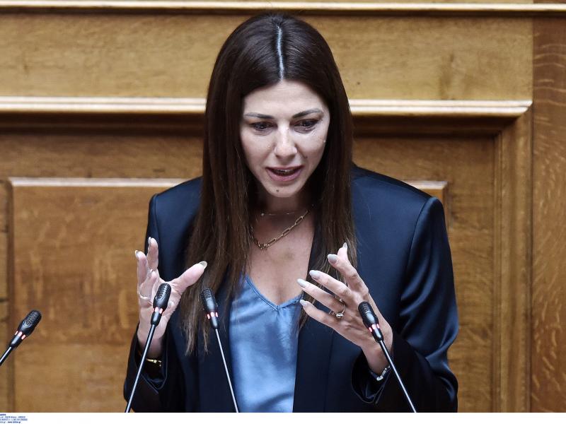 Σοφία Ζαχαράκη στη Βουλή