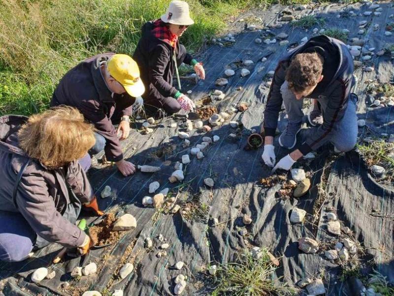 Παν. Πατρών: «Φύτεψε μια Κενταύρια» - Η πρώτη εκπαιδευτική δράση στον Βοτανικό Κήπο στέφθηκε με επιτυχία