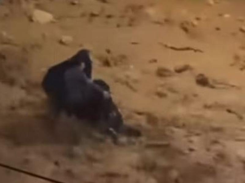 Δραματική διάσωση γυναίκας από ορμητικό χείμαρρο στη Γλυφάδα (Βίντεο)