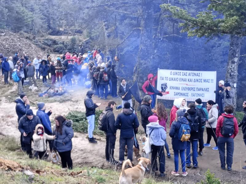 Κοσμάς Αρκαδίας: Καταγγελία για αναίτια προσαγωγή κατοίκου που έβγαζε βόλτα τα σκυλιά του