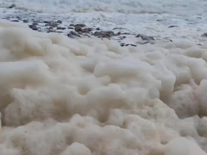 Αφροί «σκέπασαν» την παραλία Κριός μετά την κακοκαιρία στα Χανιά (Βίντεο)