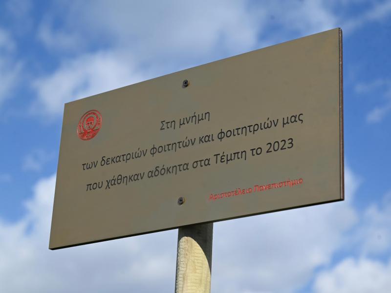 Τέμπη – ΑΠΘ: Κερασιά μνήμης για τους 13 φοιτητές και 500 νέα δέντρα στο campus