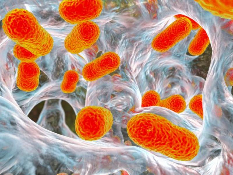 Ελλάδα: Αύξηση στα ανθεκτικά μικρόβια και ανησυχία για τη δημόσια υγεία