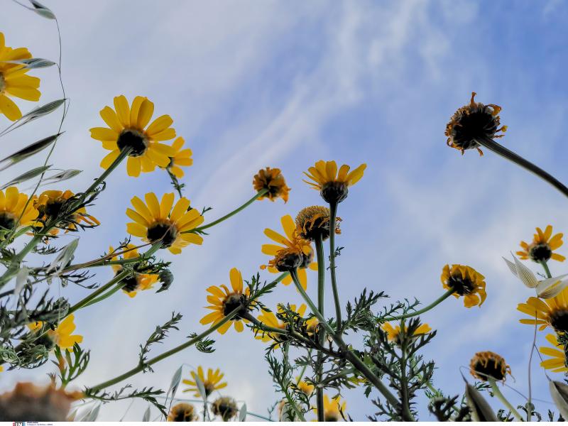 Τι καιρό θα κάνει την Κυριακή του Πάσχα – Η εκτίμηση του μετεωρολόγου Νίκου Καντερέ