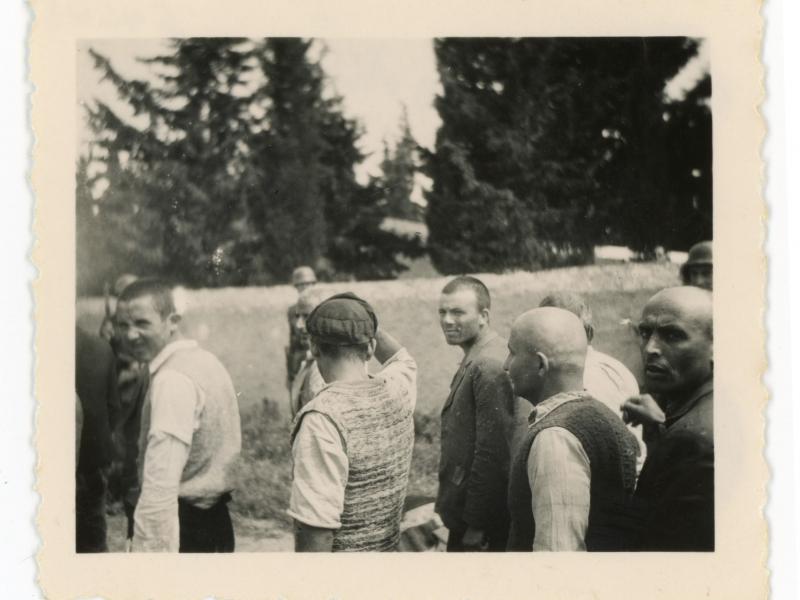 συλλογή Χόιερ