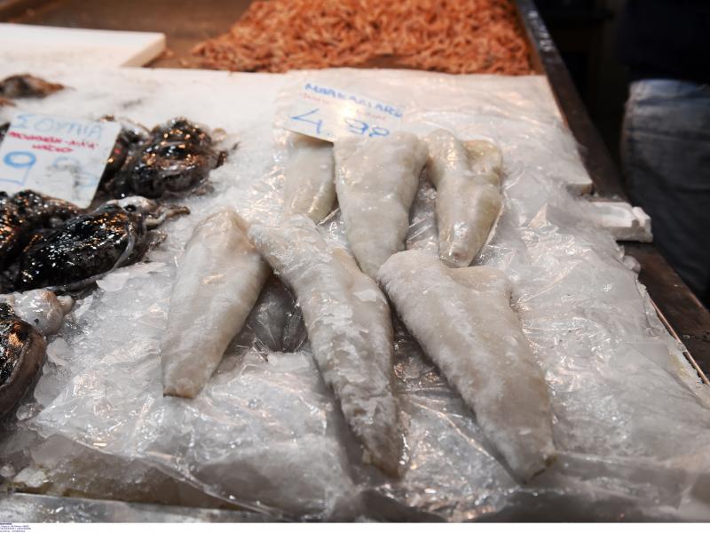 μπακαλιάρος