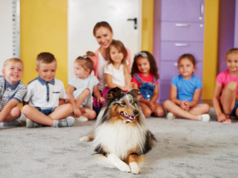 Πανελλήνια Σχολική Ημέρα Φιλοζωίας