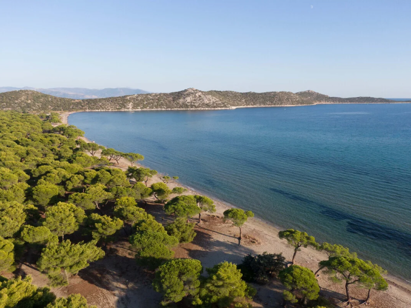 Απάτητες Παραλίες 2026: Τέλος οι ξαπλώστρες σε 2 περιοχές της Αττικής