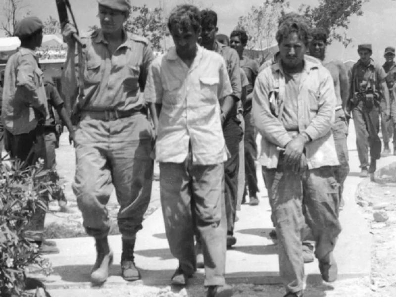 κολπος των χοιρων