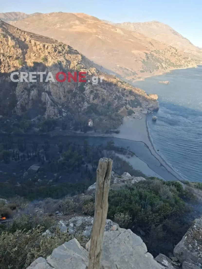 Φωτιά στο Ρέθυμνο: «Στάχτη» το εξωτικό φοινικόδασος της Πρέβελης (Εικόνες)