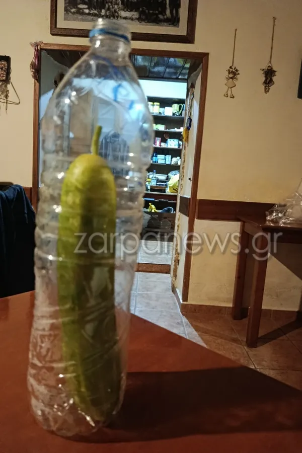 Αγγούρι μέσα σε μπουκάλι νερού στα Χανιά