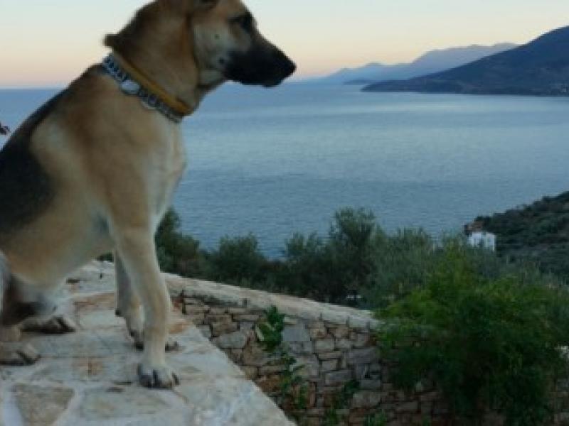 Ινδικό λεσβίες πορνό βίντεο