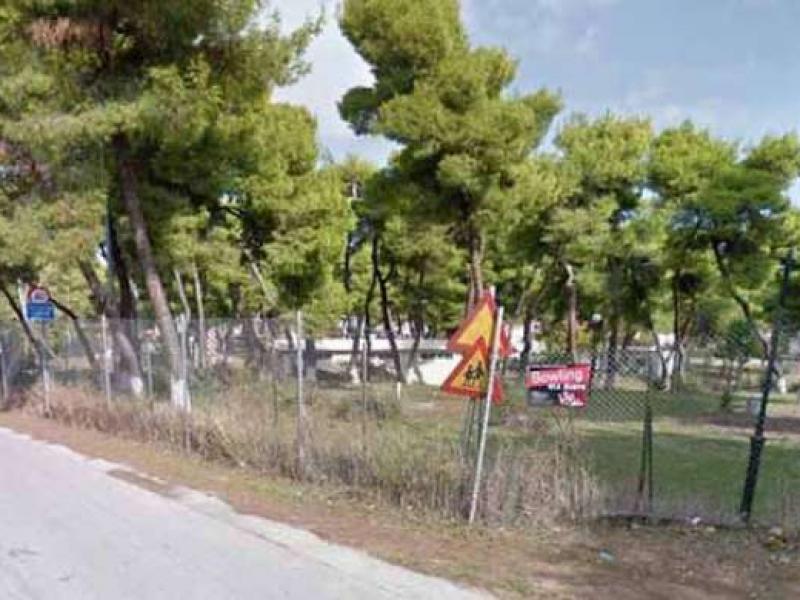 668 προσλήψεις εποχικών σε κατασκηνώσεις -Δείτε την αναλυτική κατανομή